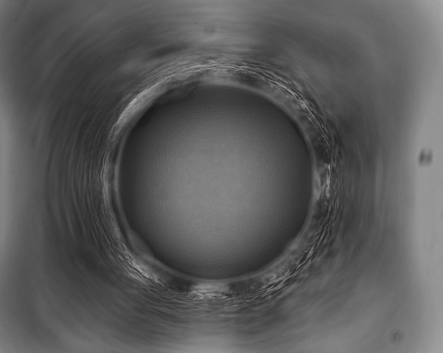 X0000101160051200806271019