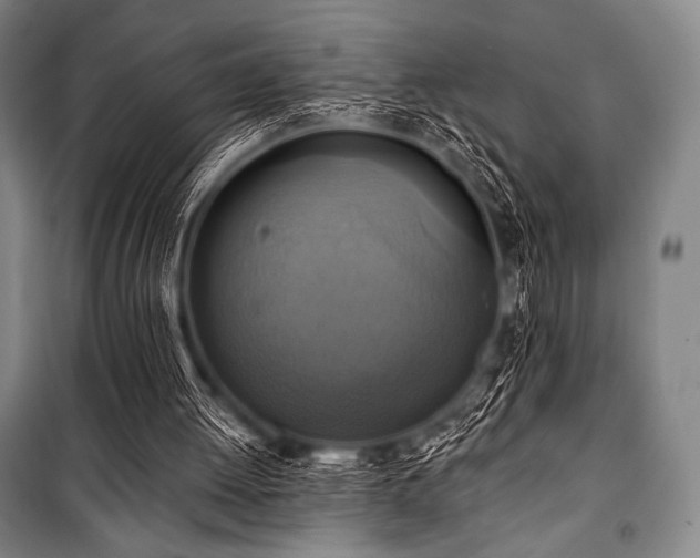 X0000101160052200806271019