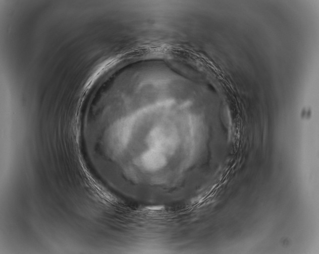 X0000101160054200806271019