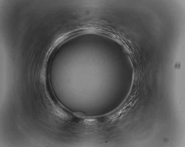 X0000101160055200806271019