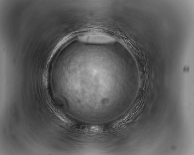 X0000101160056200806271019