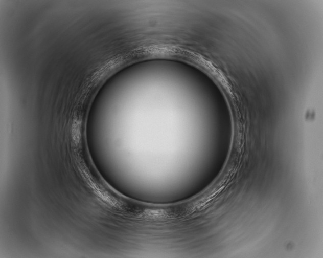 X0000101160057200806271019