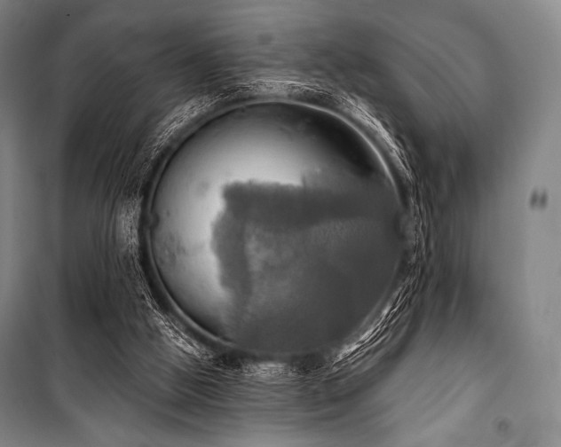 X0000101160058200806271019