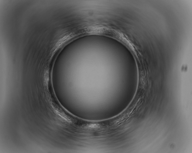 X0000101160059200806271019