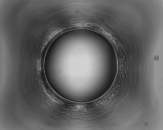 X0000101160060200806271019
