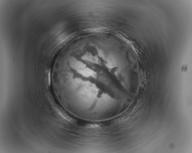 X0000101160061200806271019