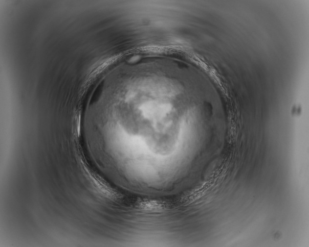 X0000101160062200806271019