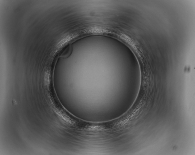 X0000101160063200806271019