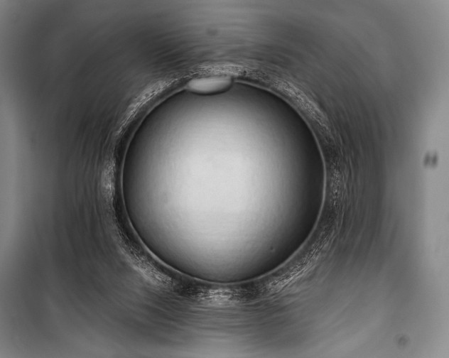X0000101160064200806271019