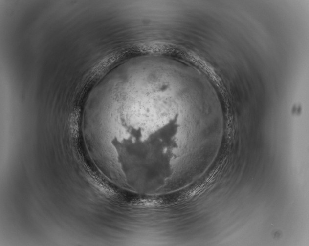 X0000101160065200806271019