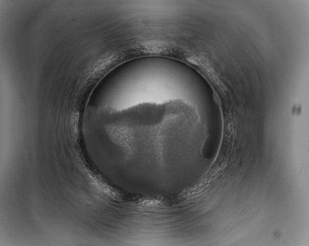 X0000101160066200806271019