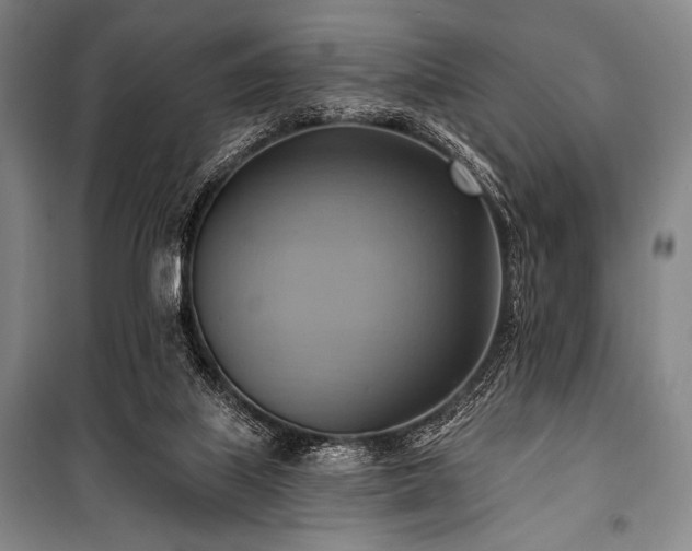X0000101160067200806271019
