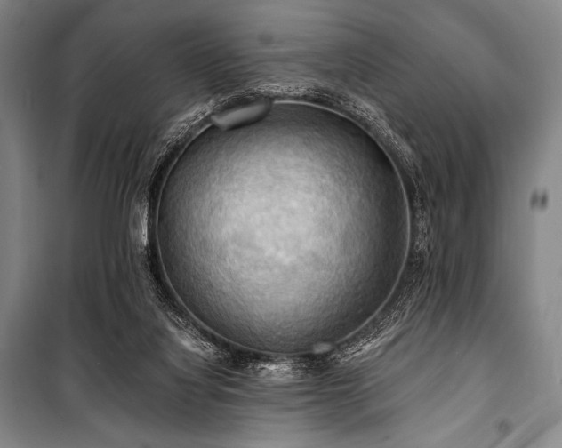 X0000101160068200806271019