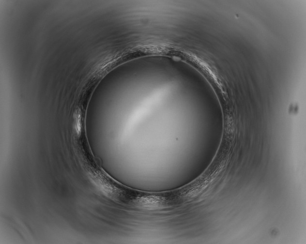 X0000101160069200806271019