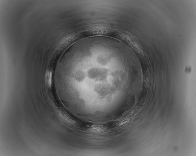 X0000101160070200806271019