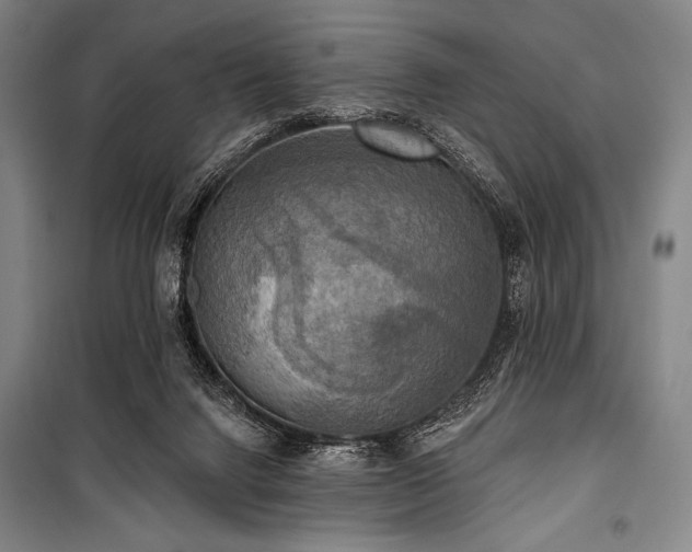 X0000101160072200806271019