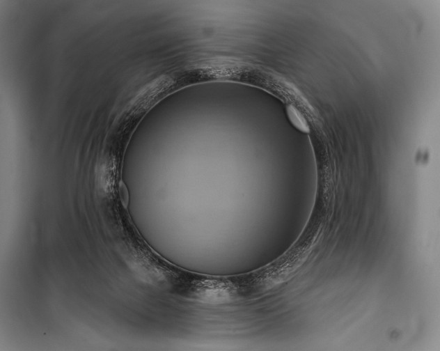X0000101160073200806271019