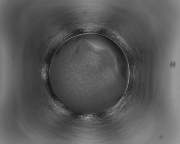 X0000101160074200806271019