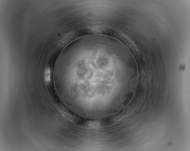 X0000101160075200806271019