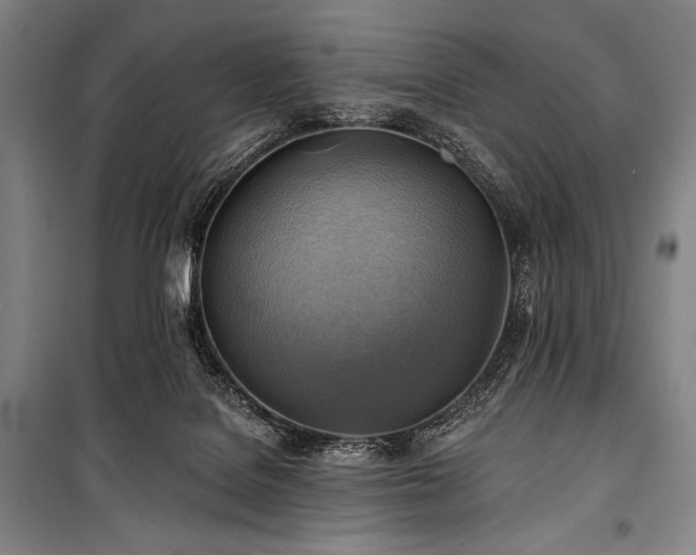 X0000101160076200806271019