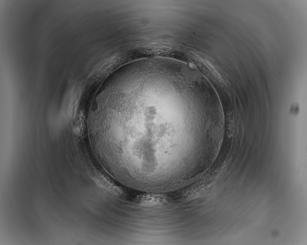 X0000101160077200806271019
