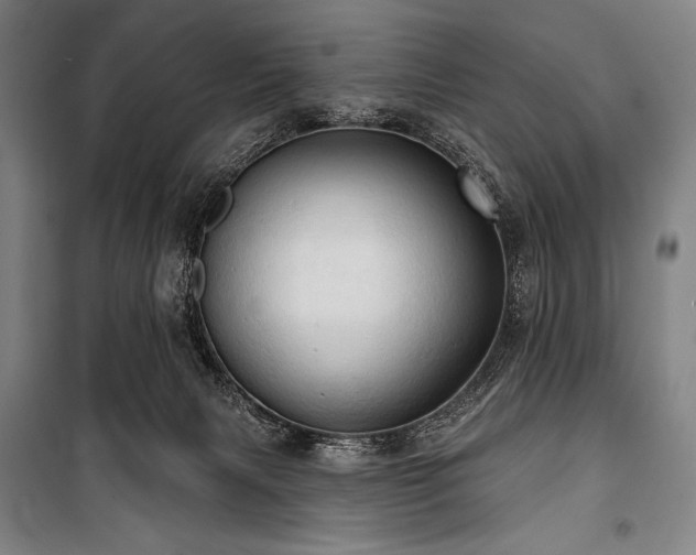 X0000101160079200806271019