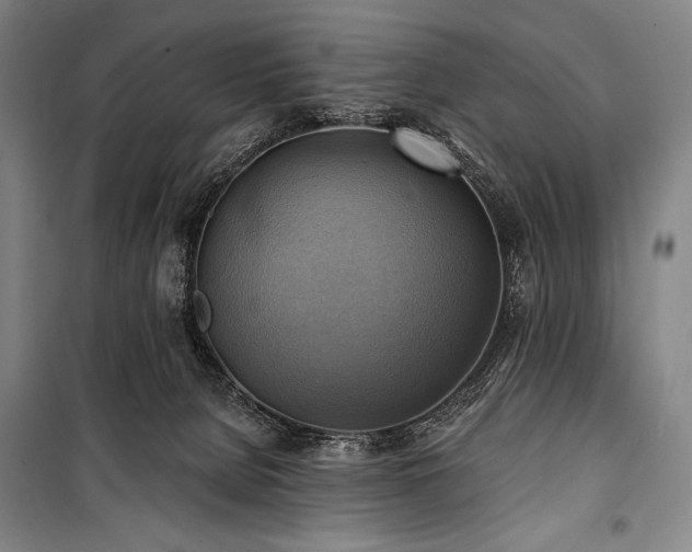X0000101160080200806271019