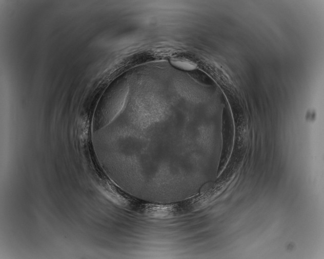 X0000101160081200806271019