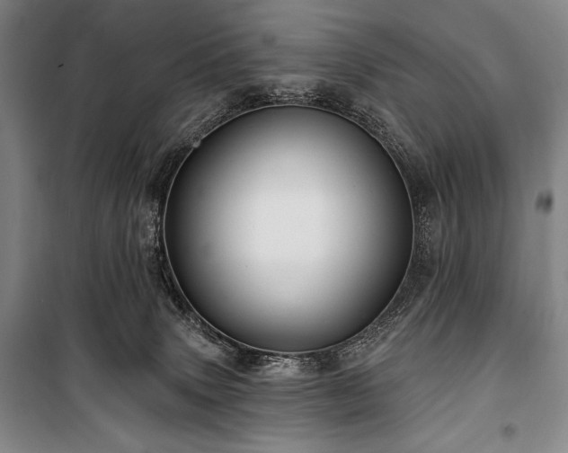 X0000101160083200806271019