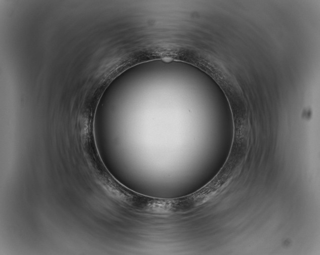 X0000101160084200806271019