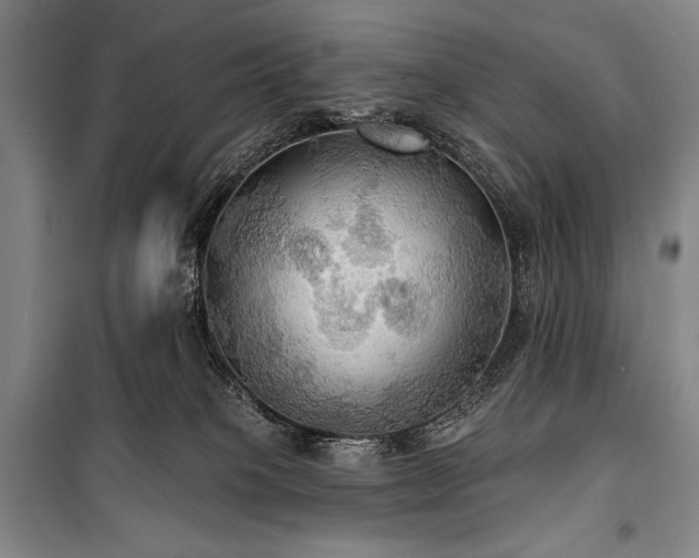 X0000101160085200806271020