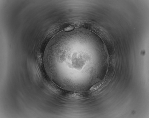 X0000101160086200806271020