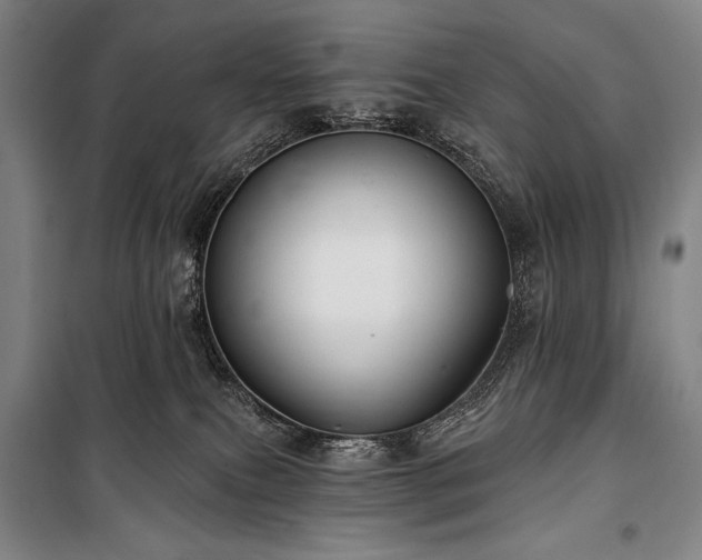 X0000101160087200806271020