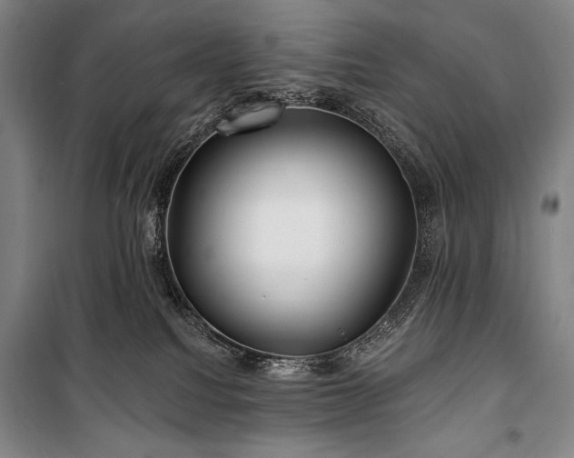 X0000101160088200806271020