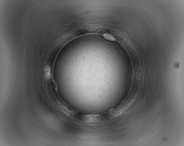 X0000101160089200806271020
