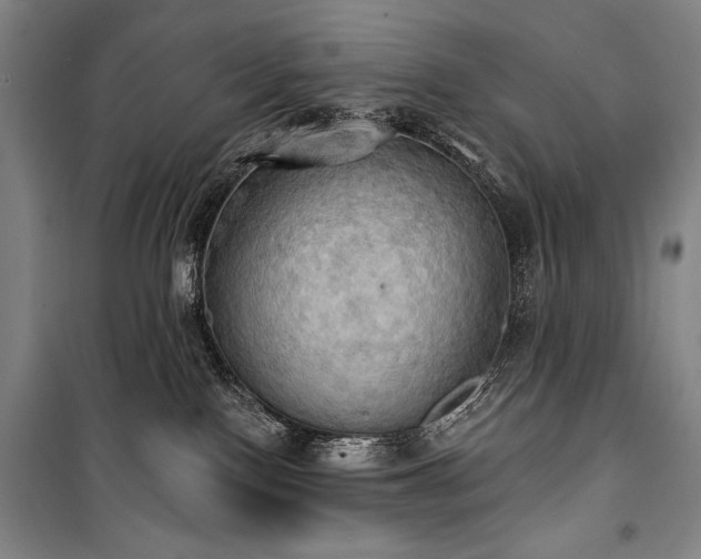 X0000101160090200806271020