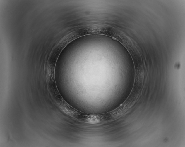 X0000101160091200806271020