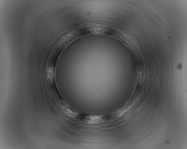 X0000101160093200806271020