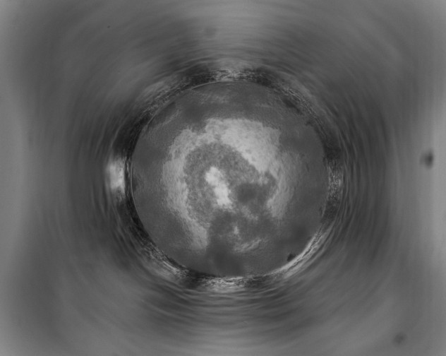 X0000101160094200806271020