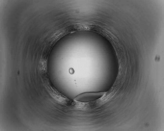 X0000101160096200806271020