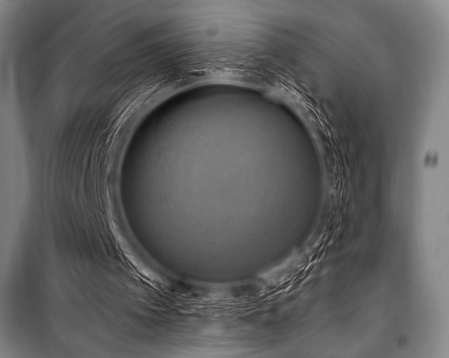 X0000101160097200806271019