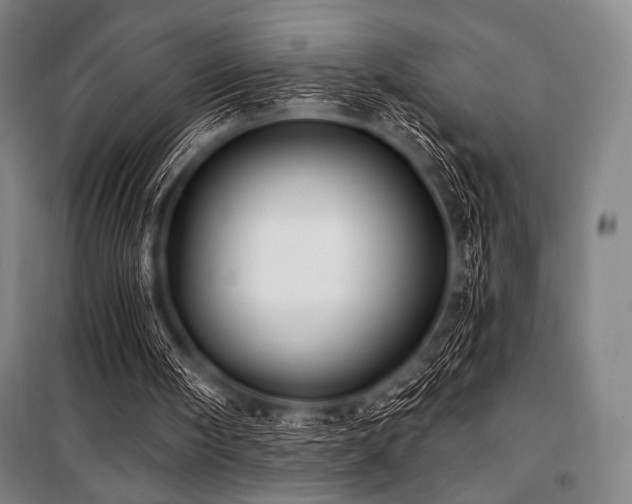 X0000101160098200806271019