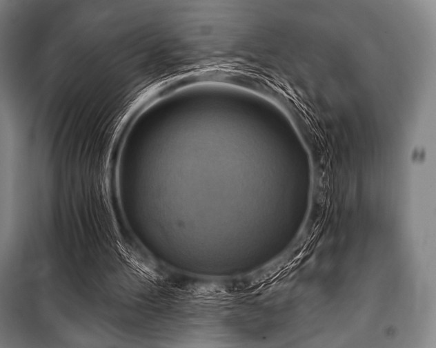 X0000101160100200806271019