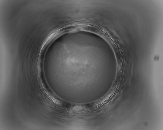 X0000101160101200806271019