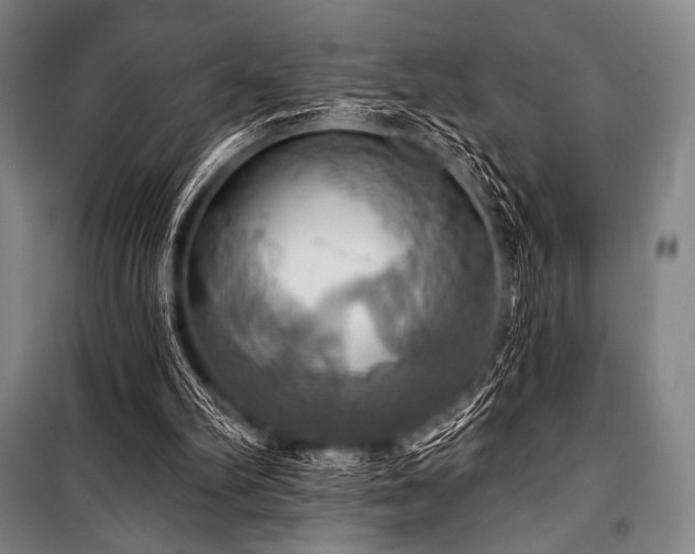 X0000101160102200806271019