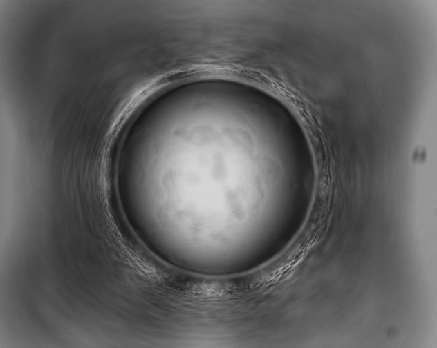 X0000101160103200806271019
