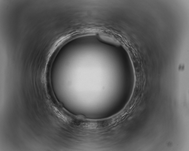 X0000101160104200806271019