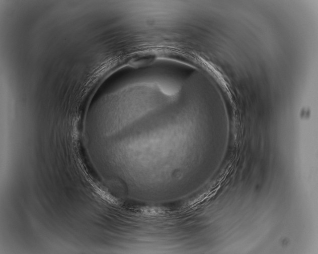 X0000101160105200806271019