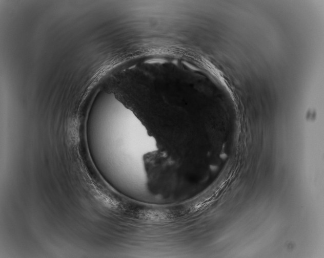 X0000101160106200806271019