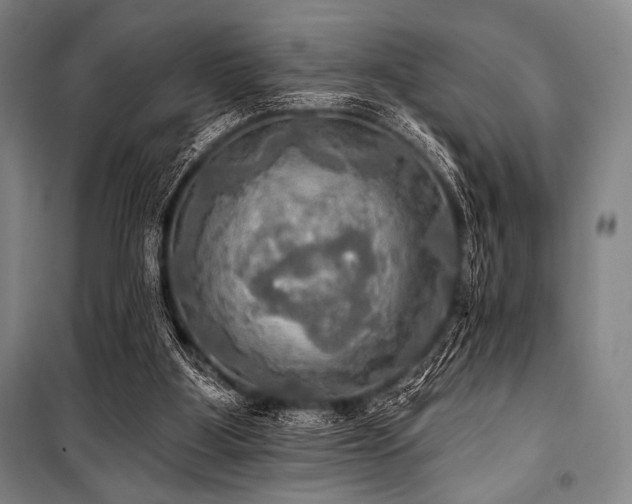 X0000101160107200806271019